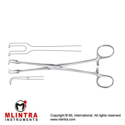 Museux Tenaculum Forcep Stainless Steel, 20 cm - 8" Museux Tenaculum Forcep Stainless Steel, 20 cm - 8"
